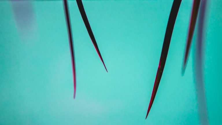Photo Acupuncture needles