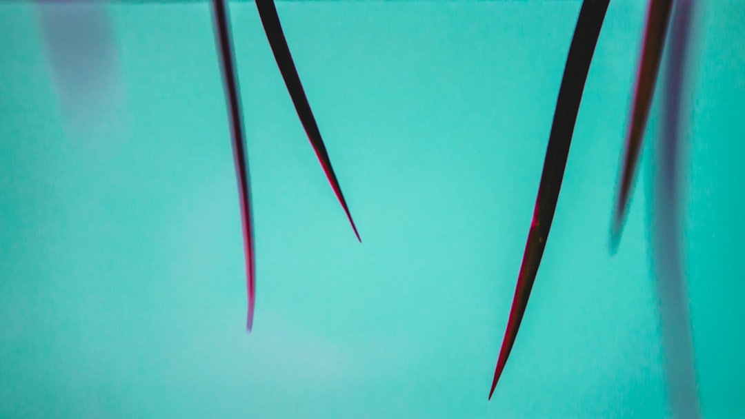Photo Acupuncture needles